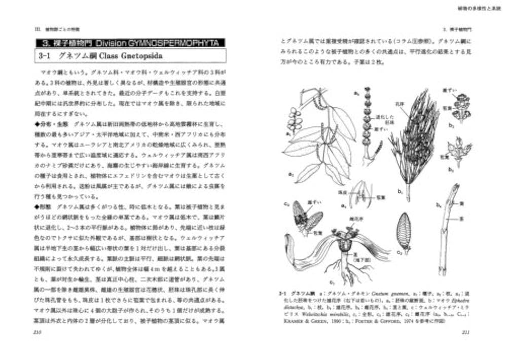 植物・生物関係の書籍 61-mWccFIHL.jpg